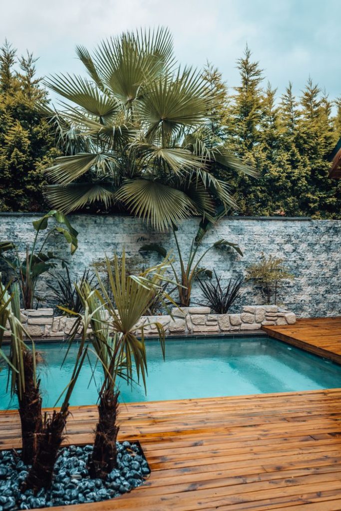 view-of-palm-trees-around-a-swimming-pool-17590971 Luxurious tropical resort pool with palm trees and wooden deck, perfect for a summer vacation.