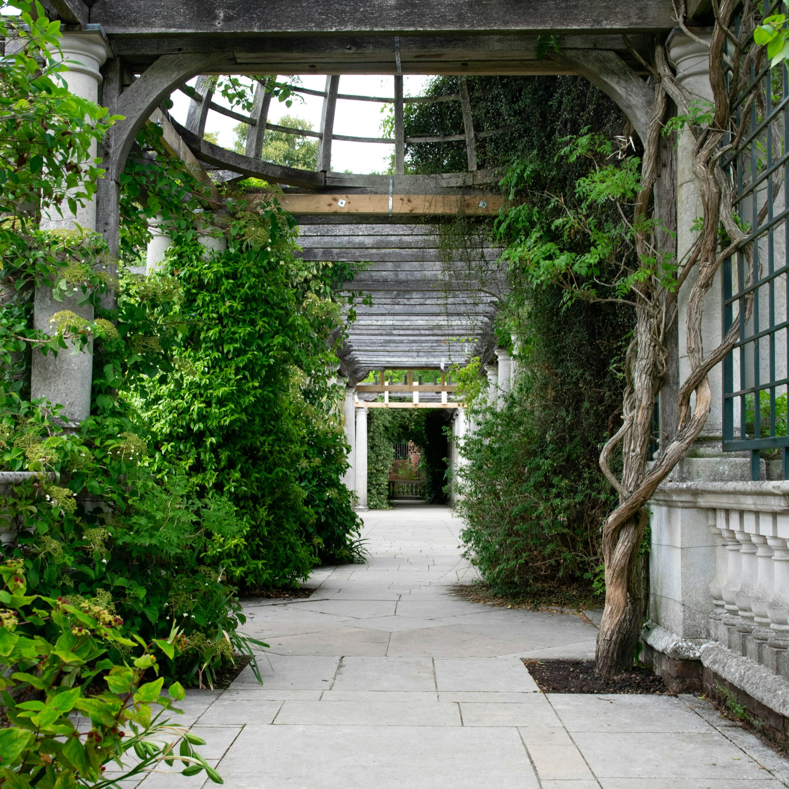 Cheminement en pierre sous une pergola en bois dans un jardin